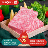 阿尔比恩（ALBION） 澳洲进口BMS和牛m9+和牛羽下肉非日本和牛a5雪花和牛肉m9牛排