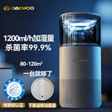 大宇（DAEWOO） 无雾加湿器卧室空气净化一体婴儿大容量家用除菌落地式冷蒸发办公室客厅大面积增湿母婴级 J11-Ultra智能杀菌款