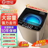 YANGZI扬子集团大容量波轮洗衣机全自动蓝光智能预约强力风干自清洁宿舍家用洗衣机洗烘一体脱水甩干机 8.5kg全自动【蓝光洁净+10年质保】智能风干