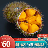 小平岛（xiaopingdao）【活鲜】小平岛新鲜大马粪海胆（5个左右1斤）鲜活即食海胆蒸蛋 大马粪海胆500g(5个左右)