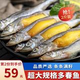 海宏盈 满籽多春鱼 特大多籽鱼鱼子海鲜鱼类生鲜烧烤火锅食材 2斤装特大规格15-17厘米
