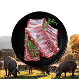 ZOOLII 伊比利亚黑猪精肋排 2斤 猪肋条烤肉烧烤红烧食材 猪肉生鲜