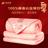 山水丝绸蚕丝被100%桑蚕丝冬季冬被子被芯加厚保暖结婚喜被重8斤200*230cm