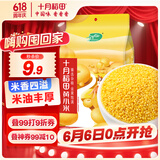 十月稻田 黄小米 1kg 小米粥 五谷杂粮 小黄米 粗粮 早餐粥米 2斤