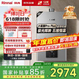 林内（Rinnai）【小蛮腰Pro plus】16升极光灰燃气热水器【家电国家补贴15%】 进口恒温芯 16GD33（JSQ31-GD33）