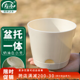 寿禾 花盆带托盘家庭园艺种菜养花盆栽工具 潍育奶油白花盆小号12.5#