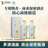 碧春酒N10酱香型53度纯粮食白酒贵州老酒礼盒装送礼宴请两瓶装