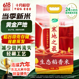 十月稻田 当季新米 寒地之最 生态稻香米 10斤（东北大米 香米 十斤）