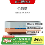 友茗堂 电陶炉茶炉家用煮茶炉烧水炉 铁壶迷你不挑壶光波电磁炉电炉大功率小型超薄围炉煮茶炉 【焕新升级】伯爵蓝