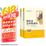 骆驼祥子+钢铁是怎样炼成的（升级版） 人教版名著阅读课程化丛书 七年级下套装（共2册）与25春新版初中语文教材配套使用（含微课，从教学角度讲解名著；含阅读笔记本，提供测评指导帮助提升整本书阅读能力）