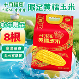十月稻田 黄糯玉米  3.52斤(220g*8根) 东北粘苞米 早餐 蛇年限定