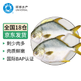 环球水产 南海金鲳鱼700g 2条 BAP认证深海鱼 冷冻 生鲜鱼类海鲜 家庭聚餐