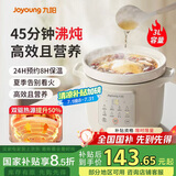 九阳（Joyoung）电炖锅电砂锅电炖盅炖汤盅煲汤锅多功能锅高温瓷燕窝炖盅煮粥神器熬粥专用锅3L大容量DG30K-GD316