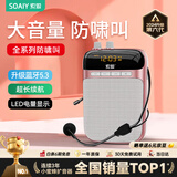 索爱（soaiy）S318小蜜蜂扩音器教师专用U盘TF卡麦克风喇叭防啸叫导游蓝牙音箱户外教学讲课  TYPE-C金