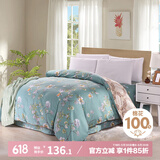 艾薇被套单件被罩纯棉温馨磨毛全棉双人被套220*240cm  清馨花园