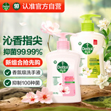 洗手液滋润250g+绿茶250g 香氛儿童消毒洗手液抑菌99.99% 
