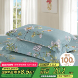 艾薇枕头套枕套一对纯棉家用全棉单人枕套枕芯套 青馨花园 48*74cm