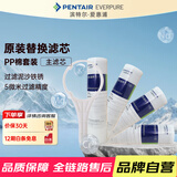 爱惠浦（Everpure） PP棉滤芯4支10吋/5微米加扳手 净水机通用滤芯
