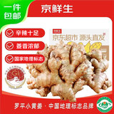 京鲜生正宗云南罗平小黄姜 新鲜蔬菜 鲜姜 老姜 生姜 包邮 净重9斤