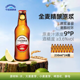 千島湖啤酒（CHEERDAY）精酿原浆9度230ml*24瓶整箱装全麦酿造