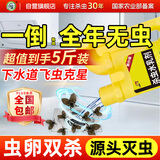 坤宁王下水道杀虫剂2500ml厕所卫生间去除小飞虫杀蛾蚋蛾蠓管道灭杀神器
