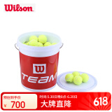 Wilson威尔胜无压力训练网球 WRT131200