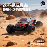 外星人玩具专业RC遥控车竞速越野拉力赛漂移磁悬浮电机金属电动玩具男孩成人