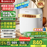 格力（GREE）【低噪小体积】除湿机/抽湿机家用除湿量12升/天单间参考面积24平24H定时除湿器DH12EN