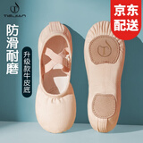 铁箭（TIEJIAN）舞蹈鞋女童免系带软底芭蕾猫爪成人儿童练功形体鞋中国舞鞋大码男 肉色 40/24cm