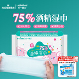 海氏海诺75%酒精湿巾一次性消毒棉片大号20抽加厚免洗洗手湿巾便携小包