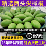 良知农哥 【顺丰】新鲜现摘两头尖橄榄 潮汕青橄榄生青果炖猪肚泡茶煲汤 精选两头尖1斤丨顺丰空运