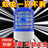 灭蚊灯家用灭蚊器驱虫器婴幼儿孕妇可用电击插电式室内 灭蚊小夜灯1个插电款