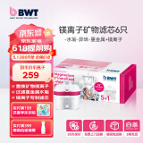 倍世（BWT） 第4代镁离子活力款滤芯 德国技术欧洲原装进口 过滤净水器家用滤水壶净水杯净水壶用 【镁离子】6只装