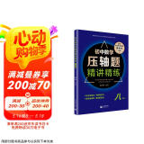 初中数学压轴题精讲精练（八年级）