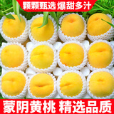 粤迎山东蒙阴黄桃新鲜时令桃子现摘黄金黄毛桃桃子水果高山黄桃生鲜 净4.5-5斤精选果【单果92g+】