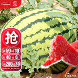 大禹懒汉西瓜种子苗特大适合南方早熟懒人8424麒麟瓜美都无籽水果蔬菜 懒汉西瓜种子约50粒2袋免打叉