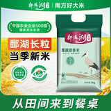 鄱阳湖鄱湖清香米10斤 油粘丝苗大米5kg长粒猫牙大米 江西香米