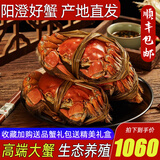 【活蟹】阳澄清歆大闸蟹 鲜活特大螃蟹公蟹母蟹 海鲜水产生鲜礼盒 公5.5-5.8两母4.5-4.8两 4对八只