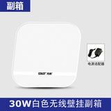 先科（SAST）20W无线壁挂蓝牙音响副机 内置功放机音箱店铺美容院餐厅超市公共广播背景音乐（搭配主机使用）