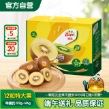 佳沛（zespri）新西兰 金果12粒猕猴桃礼盒特大果单果约122-146g 端午节水果礼盒