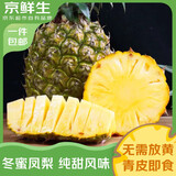 京鲜生 海南冬蜜凤梨 净重4.5斤单果650g 新鲜水果青皮菠萝生鲜源头直发