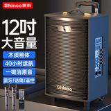 新科T30广场舞音响户外大音量拉杆蓝牙音箱三喇叭重低音木质箱体家用K歌移动摆摊 12吋双咪