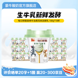 蒙牛（MENGNIU）每日鲜酪低温风味酸奶酸牛乳发酵乳 牛油果味 100g×18杯