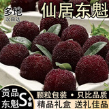 舌尖乡甜【顺丰冷链】仙居东魁杨梅 新鲜现摘当季应季时令水果多地次日达 60枚颗粒【单果10-15g 净果1.5斤 甄选10年树精品礼盒装