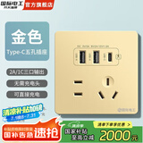 国际电工双USB插座面板20W快充墙壁无需充电头Type-c家用五孔插座快充面板 五孔2.1A双USB+type-c【金色】