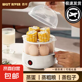 煮蛋器蒸蛋器电蒸锅小型炖蒸煮一体小蒸锅煎蛋锅小型蒸煮鸡蛋神器家用宿舍电煎锅小电器小电锅 双层 【蒸煮神器】两层蒸笼 无量杯