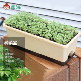 奥美优种菜盆长方形加厚霍伦盆阳台窗台专用盆种菜神器家用长种植箱白色
