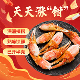 加拿大雪蟹蟹钳400g 熟冻蟹脚蟹腿 已开半壳 雪蟹钳肉 送礼聚餐