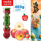 乐淇（ROCKIT）进口火箭筒苹果 5粒超大筒装 单筒465g起 生鲜 新鲜水果