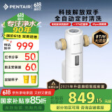 滨特尔（pentair）前置过滤器大通量家用全屋自来水管道40μm过滤器9吨/H大流量水驱涡轮+反冲洗刮洗净水器 【顶配】9T/H大流量S260全自动